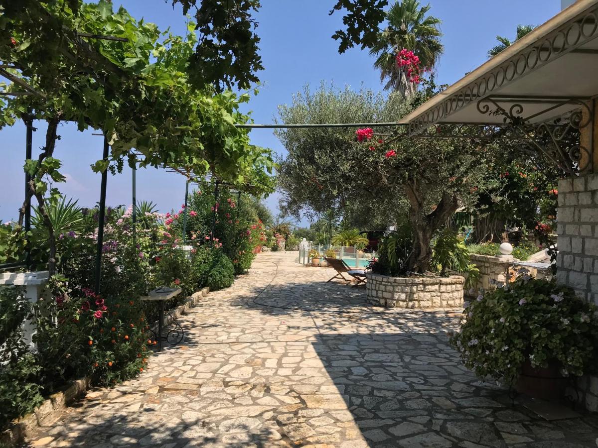 Silver Olives Corfu Kounavadhes